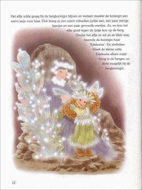 Mijn leukste elfenverhaaltjes boek - Afbeelding 2